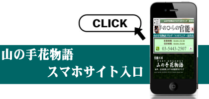 スマホサイト入口